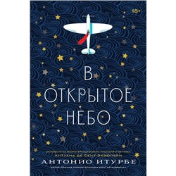 Уценка. В открытое небо [основано на жизни писателя и летчика Антуана де Сент-Экзюпери]