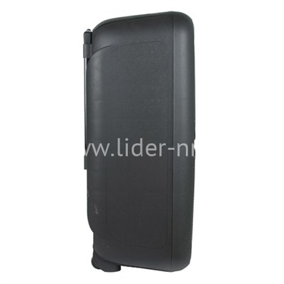 Колонка 12"  (20-05 DANCE BOX 500) динамик 2шт/12" ELTRONIC с TWS