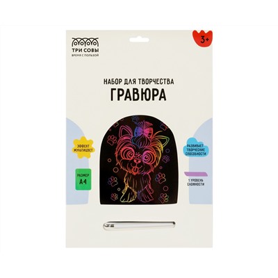 Гравюра с мультицветной основой ТРИ СОВЫ "Веселый Йорк", А4