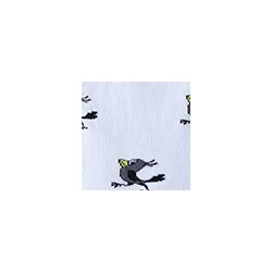 Носки женские 23С1159 614 Брестские Союзмультфильм Conte [6шт] Дроп