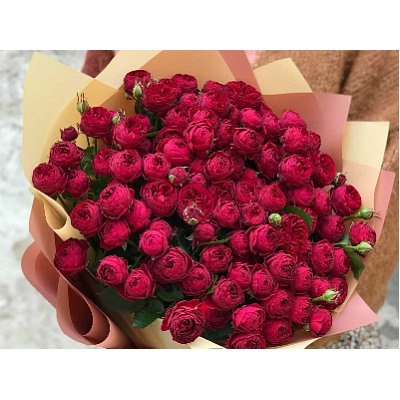 Роза спрей Maroon "Марун"