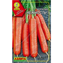 0248 Морковь Нежность 300шт