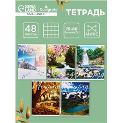 Тетрадь 48 листов в клетку Calligrata «Пейзаж», обложка мелованный картон, блок №2, белизна 75% (серые листы), МИКС
