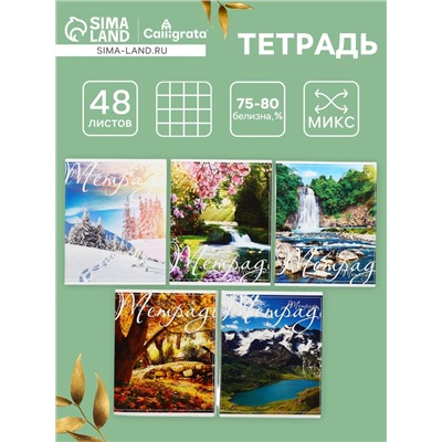 Тетрадь 48 листов в клетку Calligrata «Пейзаж», обложка мелованный картон, блок №2, белизна 75% (серые листы), МИКС