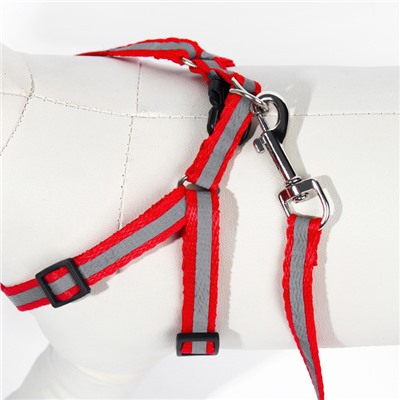 Комплект со светоотражающей лентой, ошейник 120×1 см, ОГ 26-40 см, красный