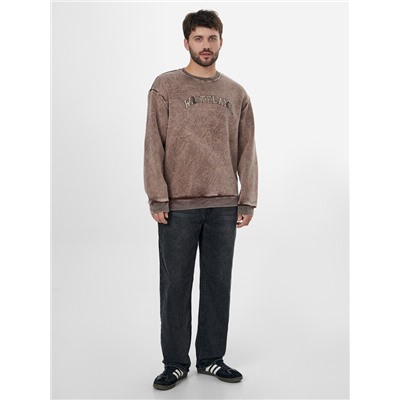 СВИТШОТ МУЖСКОЙ 121801/1