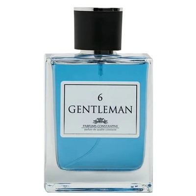 PARFUMS CONSTANTINE 6 GENTLEMAN men 100ml edt