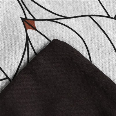 Постельное бельё Этель дуэт "Black leaves" 143х215 см 2 шт, 220х240 см, 70х70 см 2 шт, поплин, 125 г/м2