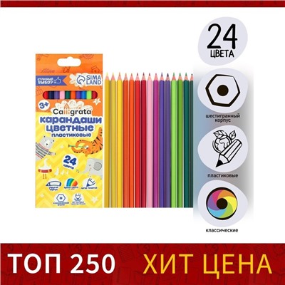 Карандаши цветные 24 цвета Calligrata ЭКОНОМ, заточенные, шестигранные, пластиковые, картонная упаковка, европодвес