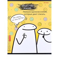 Тетрадь 48л А5 кл ОБЩЕСТВОЗНАНИЕ «Школьные мемасики» TM Prof-Press 48-9657/80/Россия