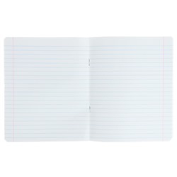 Тетрадь 12 листов линейку «Котомания», обложка мелованная бумага, МИКС