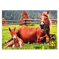 Пазлы 54 "Лошади. Символ года"