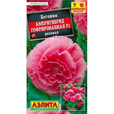 Семена Бегония Америгибрид гофрированная F1 розовая, арт.: 12213
