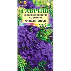 Семена Гвоздика бородатая (турецкая) Фиолетовая, арт.: 11751