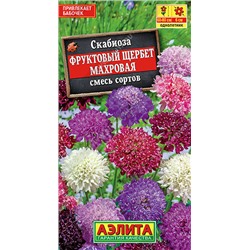 1598 Скабиоза Фруктовый щербет махровая, смесь сортов 0,1гр