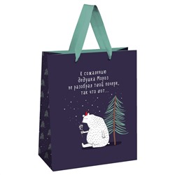 Пакет подарочный НГ 18*23*10см MESHU "Новогоднее недопонимание" MS_51893/12/Китай