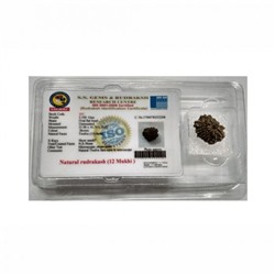 Рудракша сертифицированная (12 мукхи), 12 Mukhi Certified Rudraksha (Nepal), произв. Kalyan Puja