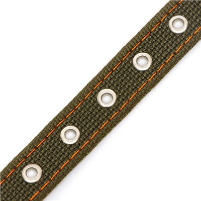 Ошейник брезентовый двухслойный, 54×2.5 см, ОШ 35-45 см, хаки