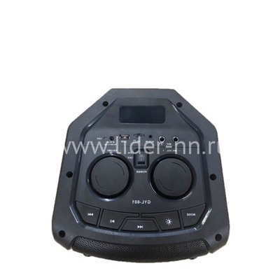 Колонка 06" (20-10 DANCE BOX 300) динамик 2шт/6.5" ELTRONIC с TWS
