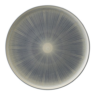 Набор из двух тарелок Eclipse из коллекции Essential, Ø27 см