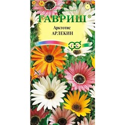 Семена Арктотис Арлекин, арт.: 4643