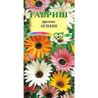 Семена Арктотис Арлекин, арт.: 4643