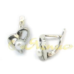 0610С   Парадиз