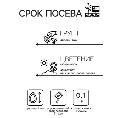 Семена цветов Колокольчик "Белый Фарфор", ц/п,  0,1 г