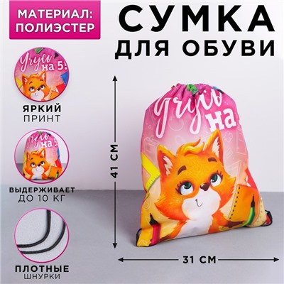 Мешок для обуви «Учусь на 5» полиэстер, размер 30×40 см