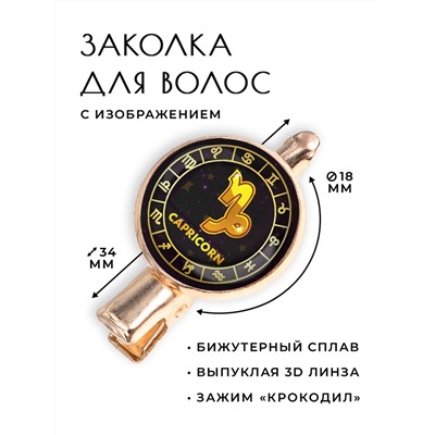 HZF-0033 Заколка Знаки Зодиака - Козерог
