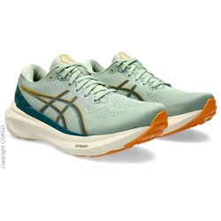 Gel-Kayano 30
