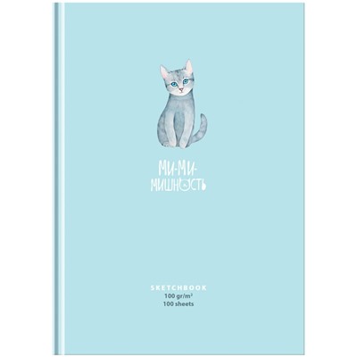 Скетчбук 100л., А5 7БЦ BG "Милая кошечка", матовая ламинация, выб. лак, 100г/м2