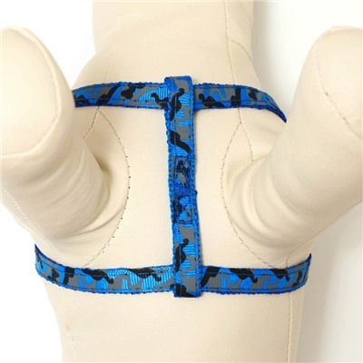 Комплект прошитый «Милитари», ширина 1 см, поводок 120 см, шлейка 23-35 см, синий