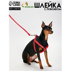 Комплект прошитый "Жираф", ширина 1 см, поводок 120 см, шлейка 23-35 см, красный