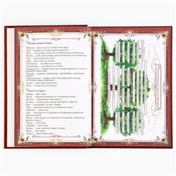 Родословная книга новогодняя « Дед Мороз» 17×2×23.7 см