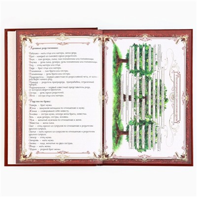 Родословная книга новогодняя « Дед Мороз» 17×2×23.7 см