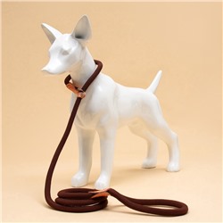 Ринговка для собак, 150×1.2 см, коричневая