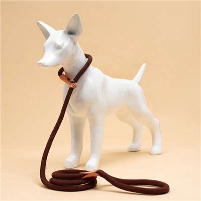 Ринговка для собак, 150×1.2 см, коричневая