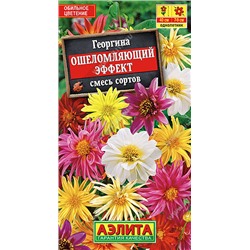 1257 Георгина Ошеломляющий эффект, смесь сортов 10шт