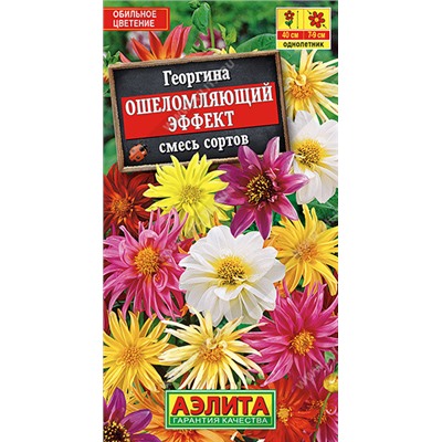 1257 Георгина Ошеломляющий эффект, смесь сортов 10шт