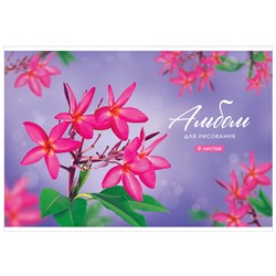Альбом для рисования 08л., А4, на скрепке ArtSpace "Цветы. Plumeria", обложка-офсет