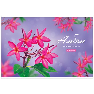 Альбом для рисования 08л., А4, на скрепке ArtSpace "Цветы. Plumeria", обложка-офсет