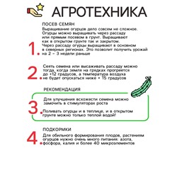 Семена Огурец "Новогодний сюрприз F1" 12 шт