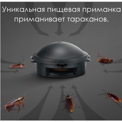 Ловушки от тараканов 6 штук.