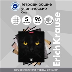 Тетрадь 96 листов в клетку ErichKrause Cats, обложка мелованный картон, матовая ламинация, выборочный УФ-лак, блок офсет 100% белизна, МИКС (1 вид в спай�...