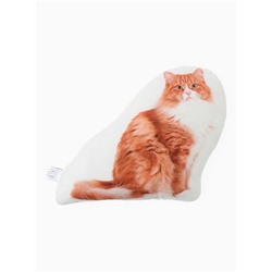 Подушка «Этель» Gingerl cat, 40×33 см, 100% п/э, велюр