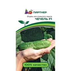 Семена Огурец Чечель, арт.: 72207