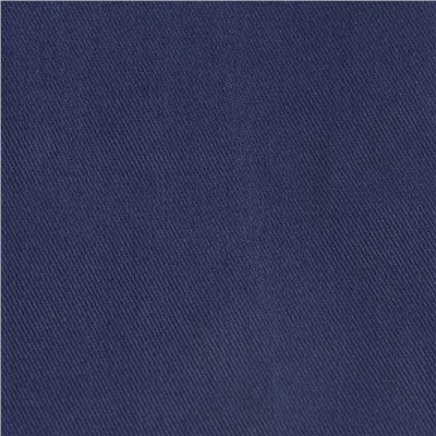 Набор из двух салфеток сервировочных из хлопка темно-синего цвета из коллекции Essential, 45х45 см