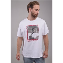 Футболка мужская Tivoli арт.5173807