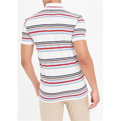 Sahara Stripe Polo Shirt